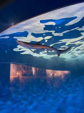 仙台うみの杜水族館に投稿された画像（2025/2/19）