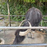 琉球村に投稿された画像（2025/2/19）