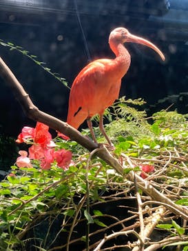 カワスイ 川崎⽔族館に投稿された画像（2025/2/19）