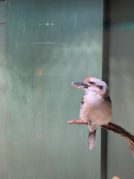 カワスイ 川崎⽔族館に投稿された画像（2025/2/19）