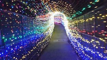 伊豆高原グランイルミに投稿された画像（2025/2/19）