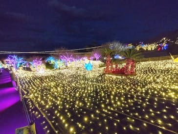 伊豆高原グランイルミに投稿された画像（2025/2/19）