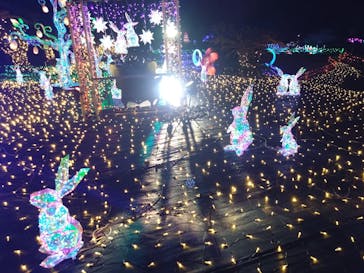 伊豆高原グランイルミに投稿された画像（2025/2/19）