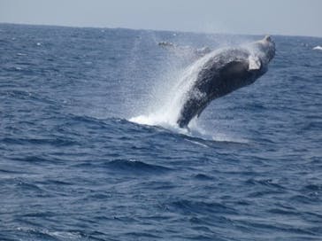 Sea World（シーワールド）に投稿された画像（2025/2/19）