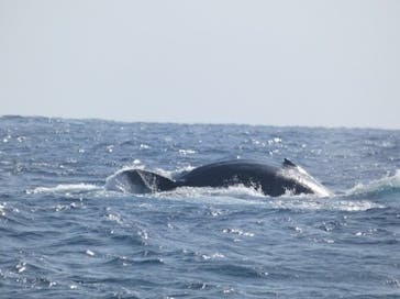 Sea World（シーワールド）に投稿された画像（2025/2/19）