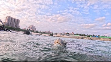 オースリーシュノーケル宮古島に投稿された画像（2025/2/19）