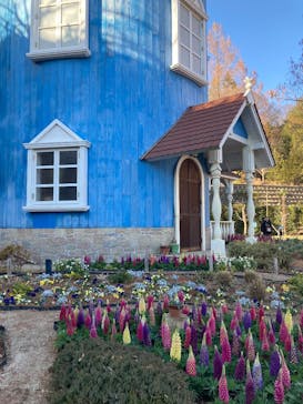 ムーミンバレーパークに投稿された画像（2025/2/19）