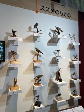 特別展「鳥 ～ゲノム解析が解き明かす新しい鳥類の系統～」国立科学博物館に投稿された画像（2025/2/19）