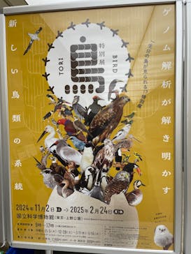 特別展「鳥 ～ゲノム解析が解き明かす新しい鳥類の系統～」国立科学博物館に投稿された画像（2025/2/19）