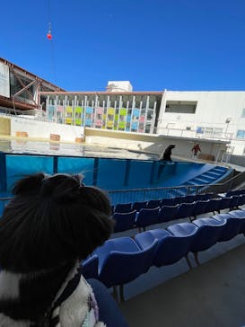 伊豆・三津シーパラダイスに投稿された画像（2025/2/19）