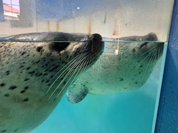 下田海中水族館に投稿された画像（2025/2/19）