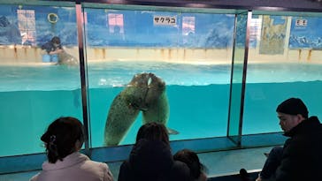下田海中水族館に投稿された画像（2025/2/19）