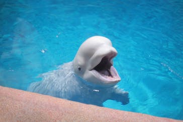 名古屋港水族館に投稿された画像（2025/2/19）