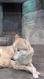 天王寺動物園に投稿された画像（2025/2/19）