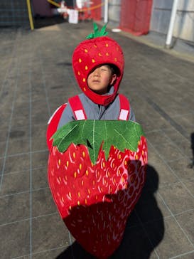 平塚土屋農場に投稿された画像（2025/2/19）