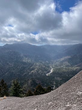 Yamakara屋久島に投稿された画像（2025/2/19）