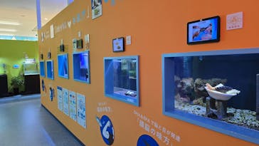 幼魚水族館に投稿された画像（2025/2/19）