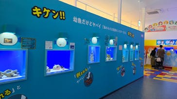 幼魚水族館に投稿された画像（2025/2/19）