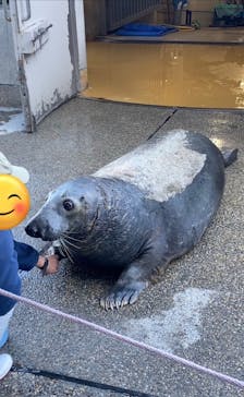 大分マリーンパレス水族館 「うみたまご」に投稿された画像（2025/2/19）