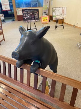 天然温泉 花鳥風月に投稿された画像（2025/2/19）