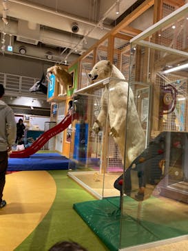 国立科学博物館に投稿された画像（2025/2/19）