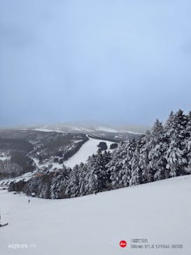 菅平高原スノーリゾートに投稿された画像（2025/2/20）