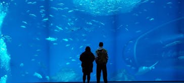 アクアワールド茨城県大洗水族館に投稿された画像（2025/2/20）