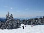 志賀高原焼額山スキー場に投稿された画像（2025/2/20）