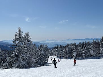 志賀高原焼額山スキー場に投稿された画像（2025/2/20）