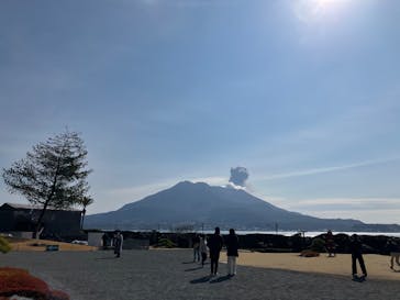 仙巌園に投稿された画像（2025/2/20）