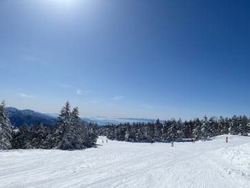 志賀高原焼額山スキー場に投稿された画像（2025/2/20）