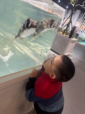 NIFREL（ニフレル）に投稿された画像（2025/2/20）