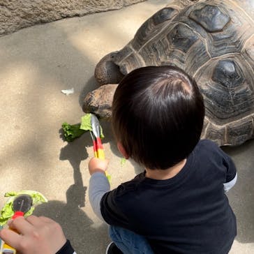 神戸アンパンマンこどもミュージアム＆モールに投稿された画像（2025/2/20）