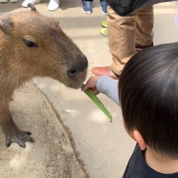 神戸アンパンマンこどもミュージアム＆モールに投稿された画像（2025/2/20）