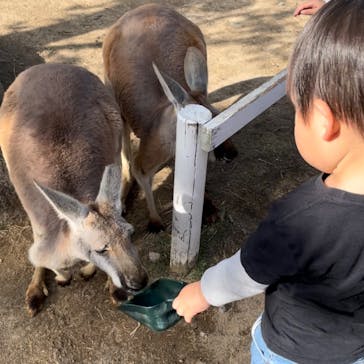 神戸アンパンマンこどもミュージアム＆モールに投稿された画像（2025/2/20）