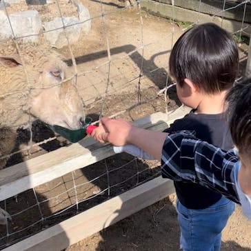 神戸アンパンマンこどもミュージアム＆モールに投稿された画像（2025/2/20）