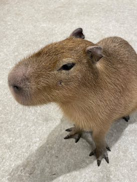 アニタッチ 東京ドームシティに投稿された画像（2025/2/20）