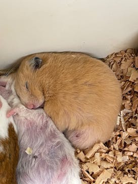 アニタッチ 東京ドームシティに投稿された画像（2025/2/20）