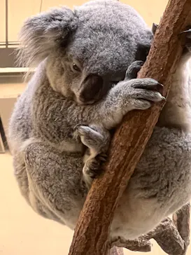 多摩動物公園に投稿された画像（2025/2/20）