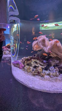 大分マリーンパレス水族館 「うみたまご」に投稿された画像（2025/2/20）