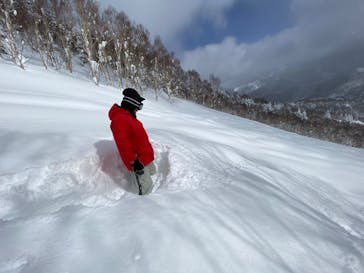 志賀高原焼額山スキー場に投稿された画像（2025/2/20）