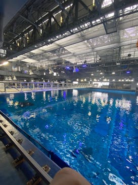 沖縄美ら海水族館（館内体験）に投稿された画像（2025/2/20）