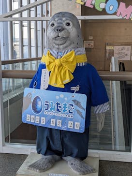 大分マリーンパレス水族館 「うみたまご」に投稿された画像（2025/2/20）