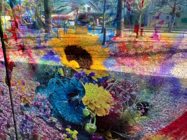 蜷川実花展 with EiM：彼岸の光、此岸の影 NINAGAWA Mika with EiM：Lights of the beyond, Shadows of this worldに投稿された画像（2025/2/20）