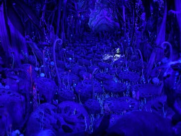 金曜ロードショーとジブリ展　三重展に投稿された画像（2025/2/20）