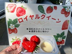 twins farm 真岡いちご園に投稿された画像（2025/2/20）