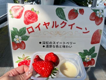 twins farm 真岡いちご園に投稿された画像（2025/2/20）