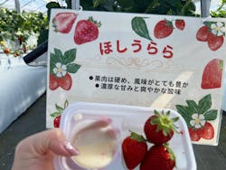 twins farm 真岡いちご園に投稿された画像（2025/2/20）