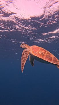  マリンショップHAPPYに投稿された画像（2025/2/20）