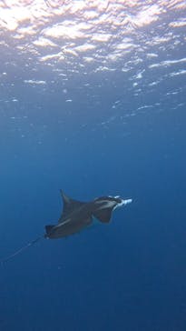  マリンショップHAPPYに投稿された画像（2025/2/20）